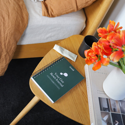 Image of gut reset journal on table